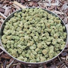 Charger l'image dans la galerie, Baby Buds