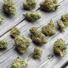 Charger l'image dans la galerie, Baby Buds