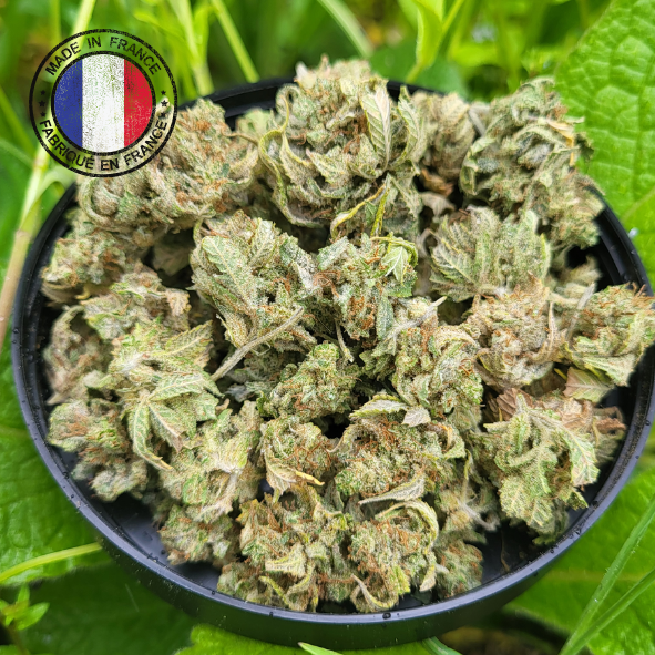 Baby Buds Frencheese 10 grammes